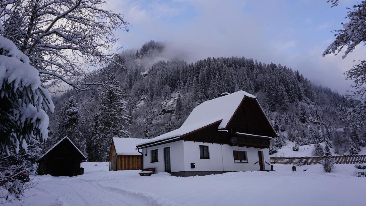 Haus Cilli Villa ดอนเนอร์สบาควัลด์ ภายนอก รูปภาพ